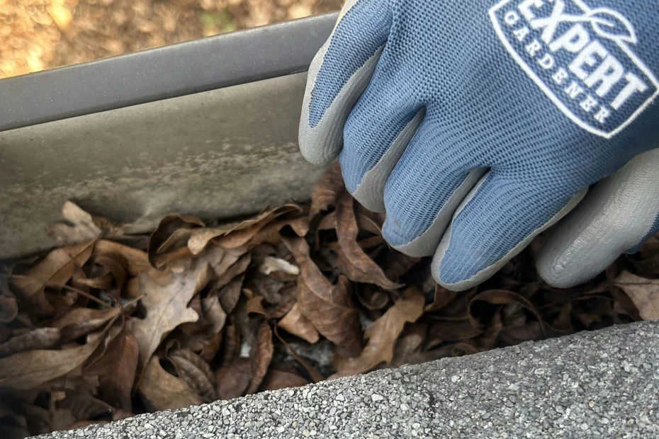 Grosse Pointe Woods Gutter Cleaning